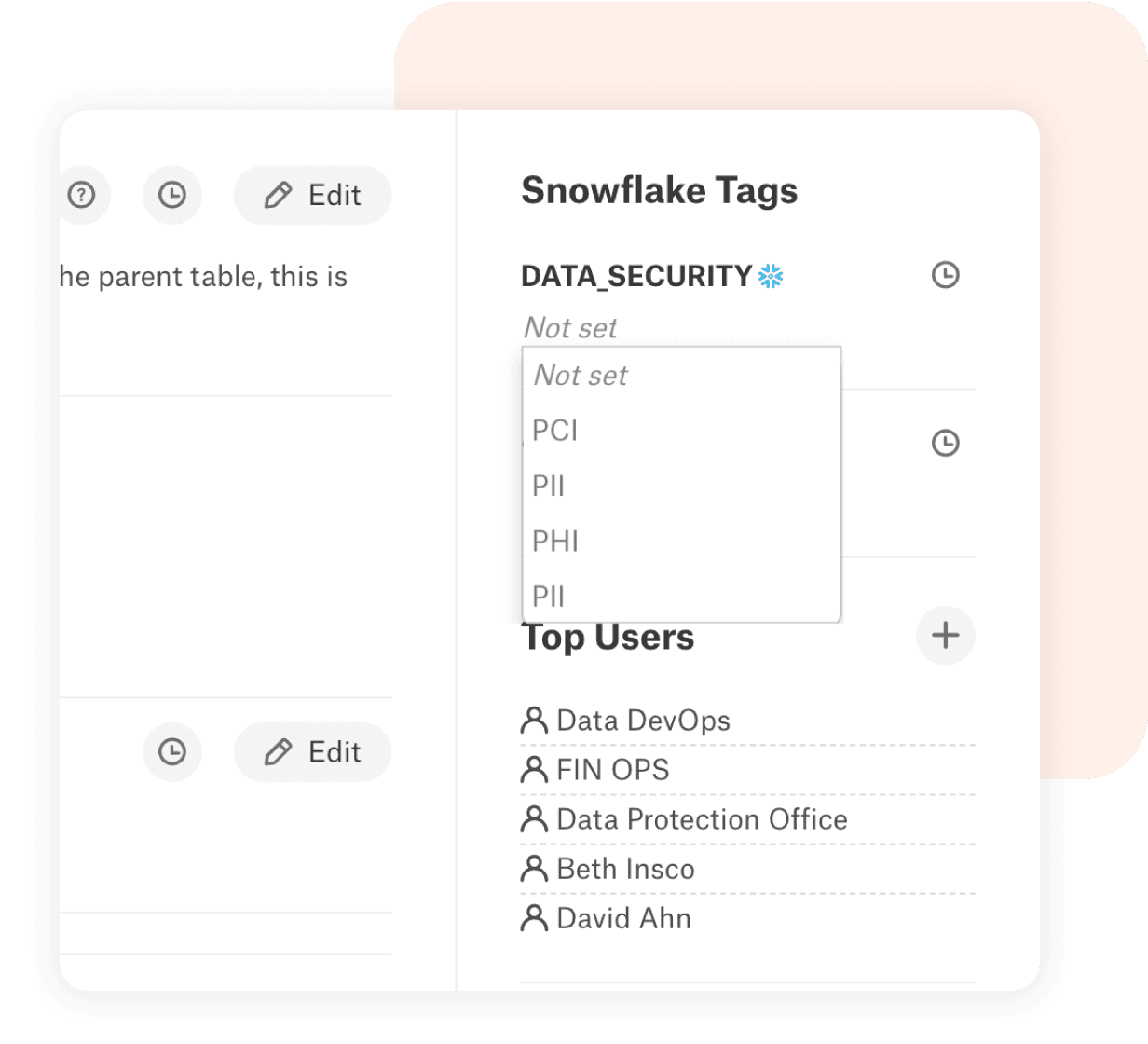 Product image showing the Snowflake tags within the Alation platform, helping with data classification