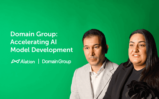 Domain Group: Accelerating AI Model Development