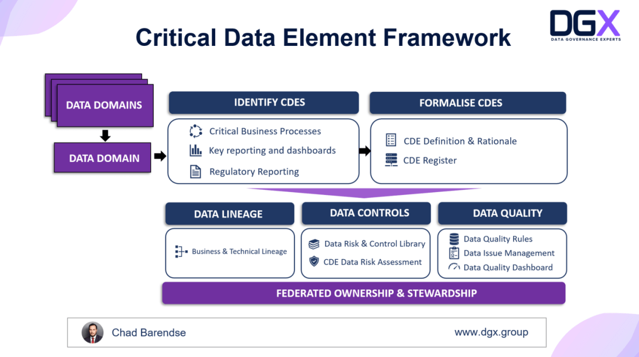 Slide from DGX showing their Critical Data Element Framework