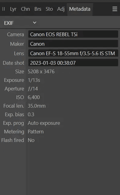 EXIF standard screenshot as metadata example displaying digital photo metadata