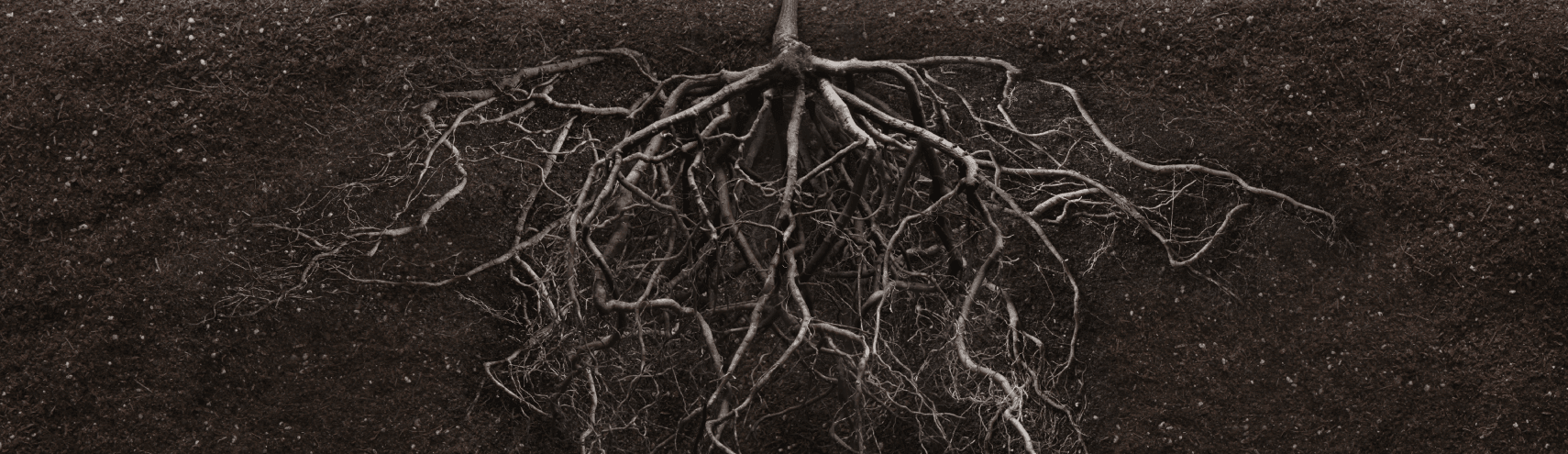 Alation Blog Image: The Secret To Data Cloud Migration A Strong Governance Foundation