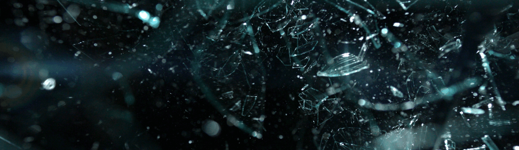 Alation Blog Image: modern data catalog mythbusting