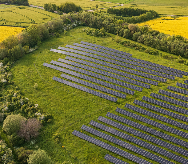 A green field filled with solar panels