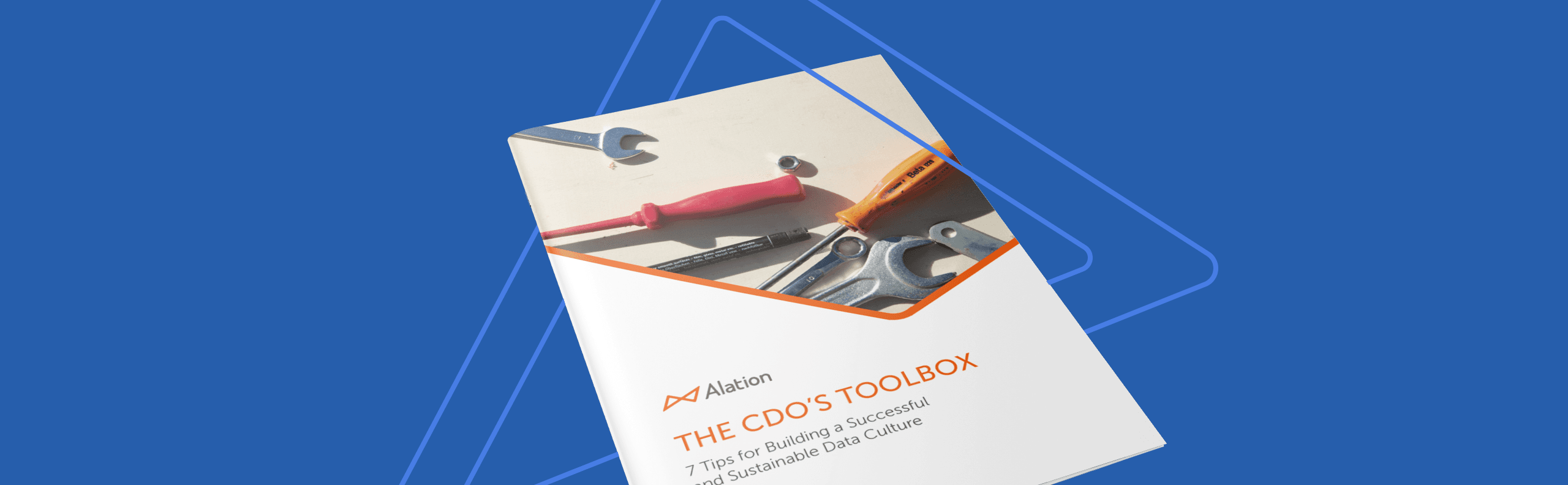 Alation Resource: The CDO Toolbox