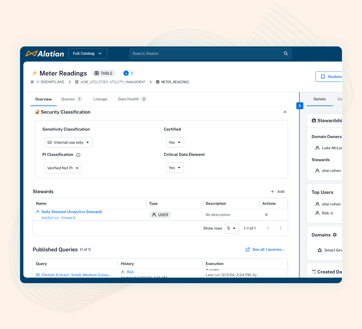 Product image of the risk management framework within the Alation platform