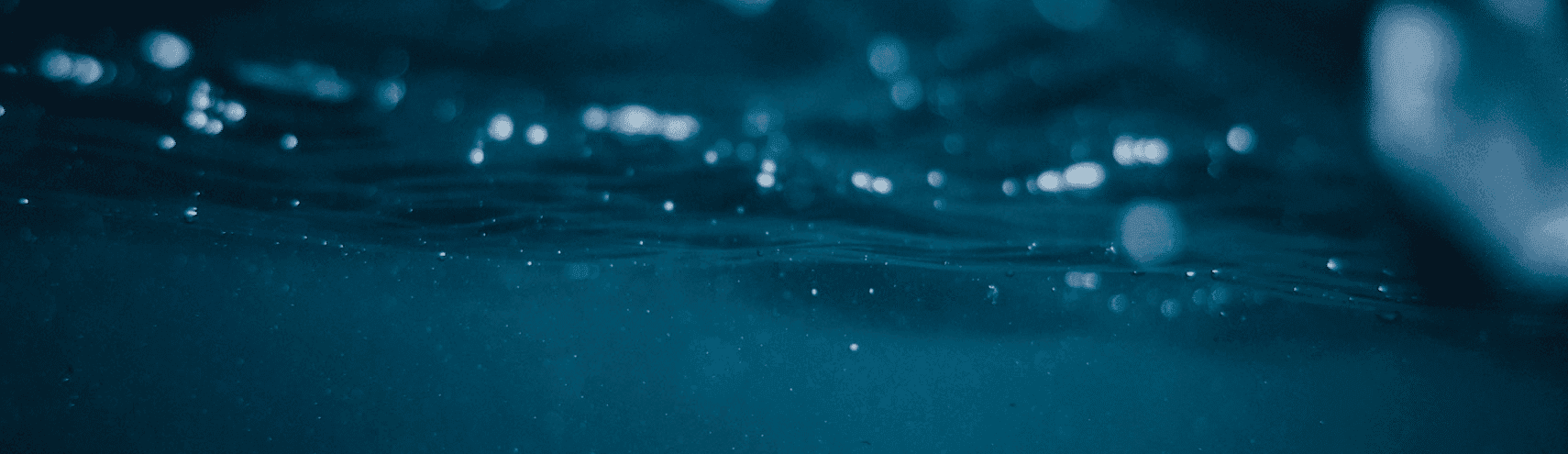 Data Swamp, Data Lake, Data Lakehouse: What to Know