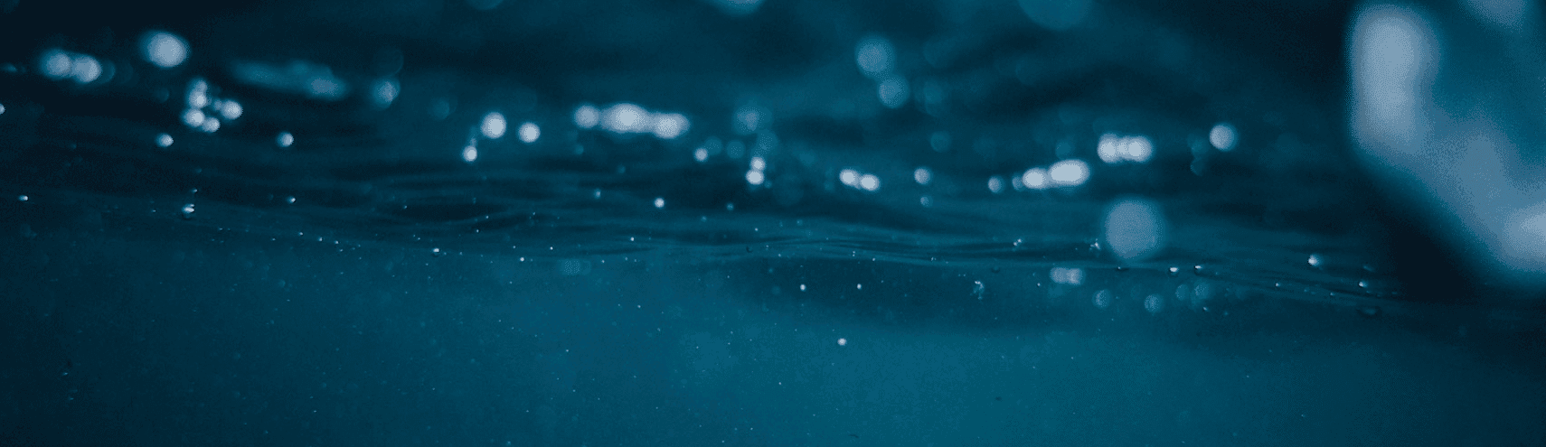 Data Swamp, Data Lake, Data Lakehouse: What to Know