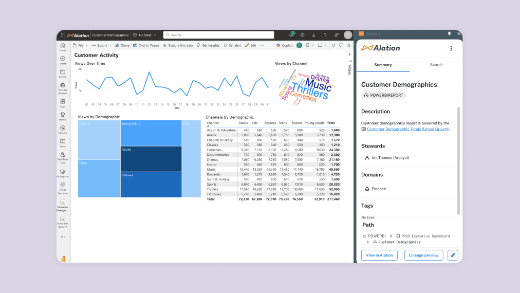 Alation Anywhere product image showing customer demographics