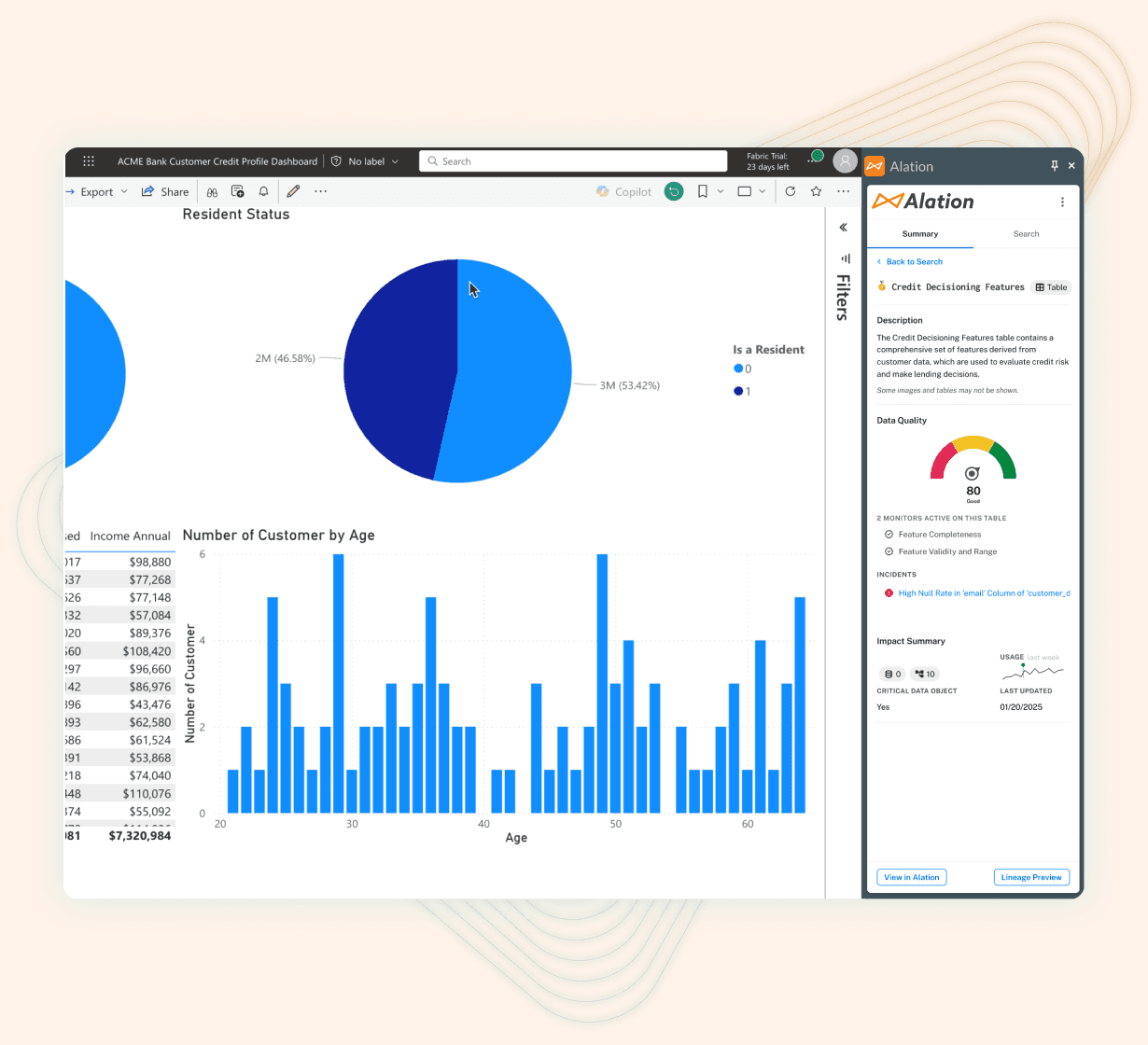 Banking dashboard showing resident status pie chart, customer age distribution graph, and Alation credit decisioning features panel.
